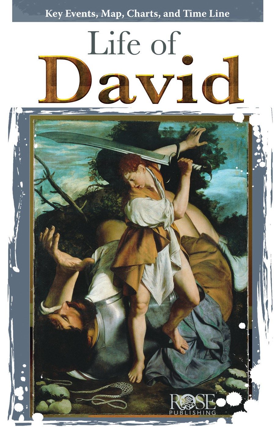 Life of David | Vision Christian Store
