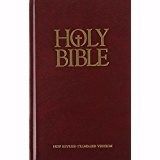 Holy Bible-NRSV | Our Brother's Keeper Bookstore
