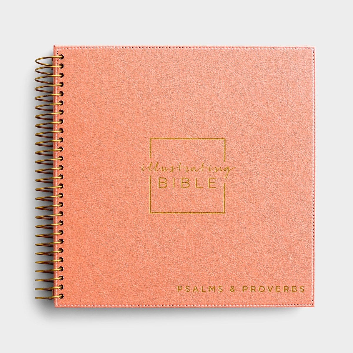 Illustrating Bible Niv: Journal Your Way Through Acts - Ephesians