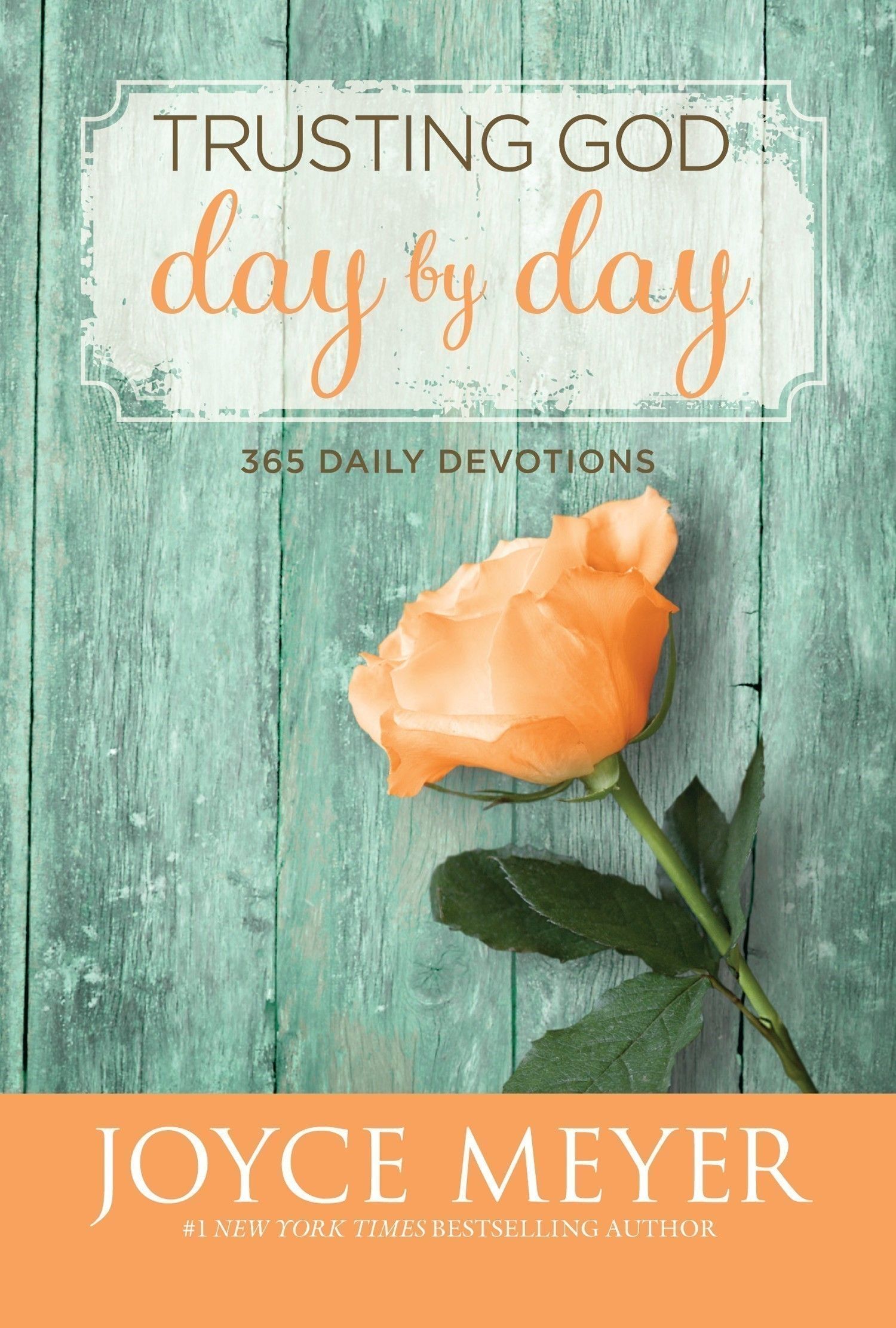 Trusting God Day by Day 365 Daily Devotions The Vineyard