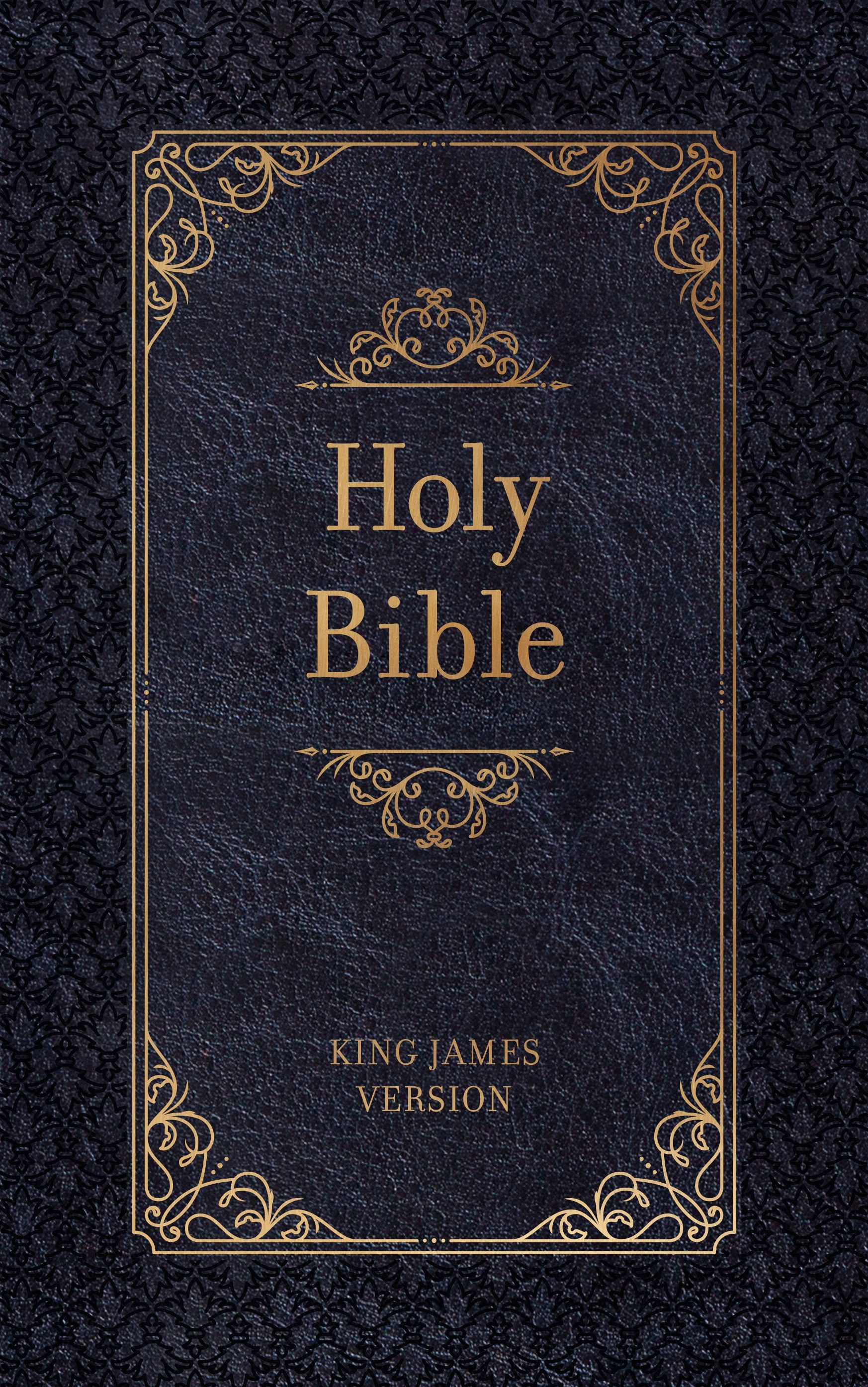 KJV Holy Bible Zip Midnight | The Olive Branch