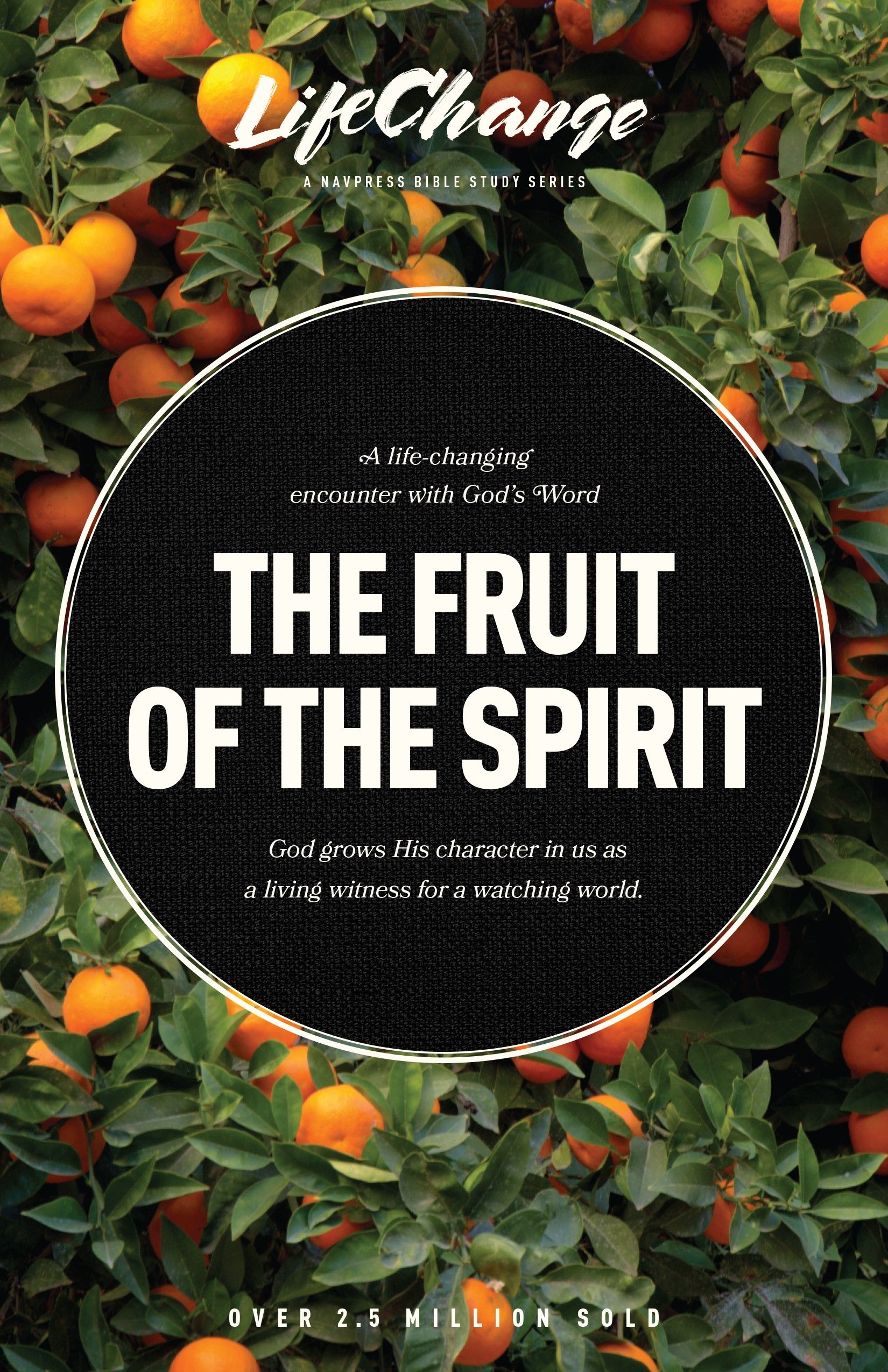 Fruit of The Select God 洋書 写真集 レア 希少 The Fruit of the Spirit: Becoming the Person God Wants You to Be