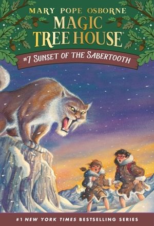 Magic Tree House Volumes 21-24 Boxed Set : American History Quartet [Paperback]