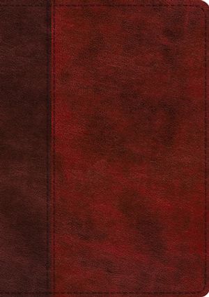 ESV Large-Print Single-Column Journaling Bible--soft leather-look,  burgundy/red with timeless design: 9781433568732 