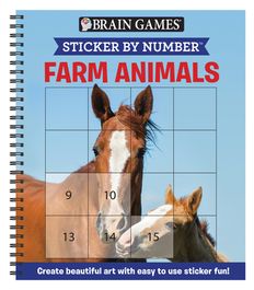 Brain Games - Sticker by Number: Summer Fun! (Easy - Square