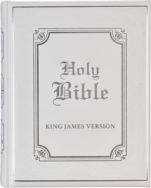 NIV Illustrating Bible-Dark Gray Faux Leather