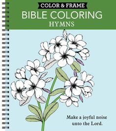Large Print Easy Color & Frame - Nature (Adult Coloring Book) (Spiral Bound,  Com 9781645586784