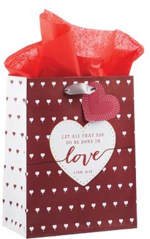 NEW - Valentines Day Gift Bags and Tissue Paper
