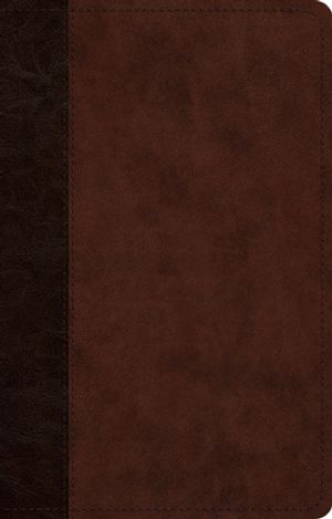 ESV Single Column Journaling Bible, Large Print (Trutone, Deep Brown) [Book]