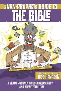 The Non-Prophet's Guide To The Bible: A Visual Journey Through God's Story...and  Where You Fit In | Born Again Bookstore