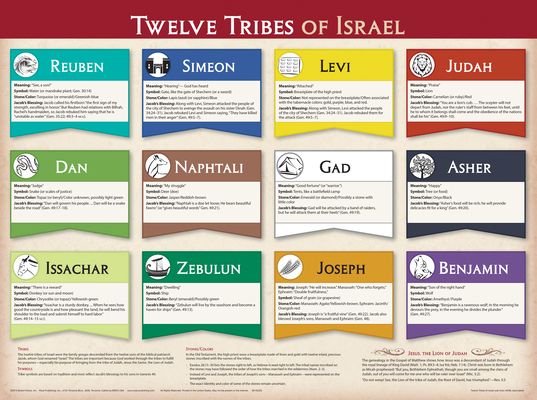 12 Tribes Of Israel Wall Chart Laminated | The Olive Branch